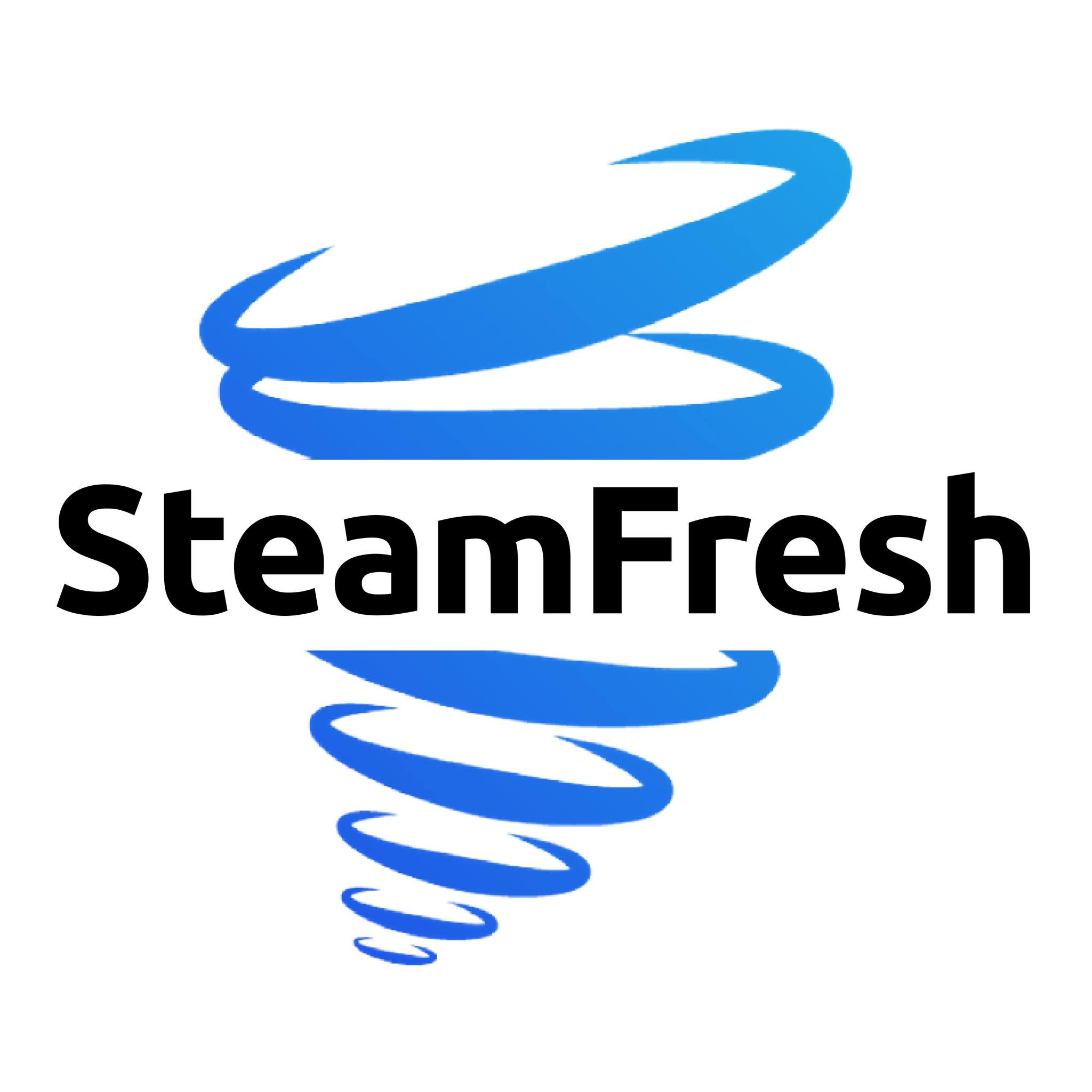 SteamFresh Auto Detailing
