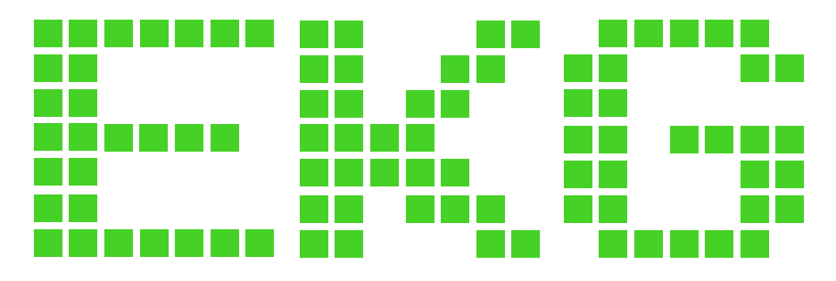 EKG Serwis