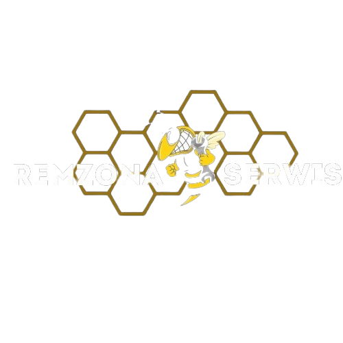 Serwis samochodowy Remzona